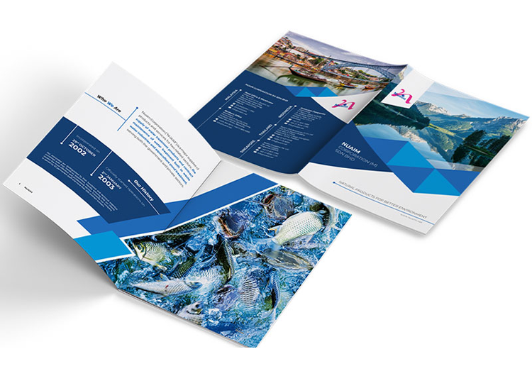 Corporate Profile Design