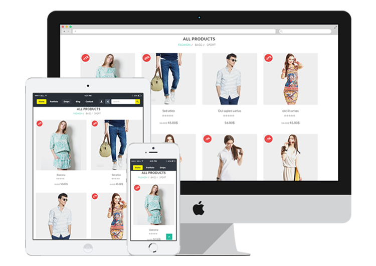 Our Professional E-commerce Design